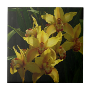 Azulejo Floral de orquídeas amarillas soleadas