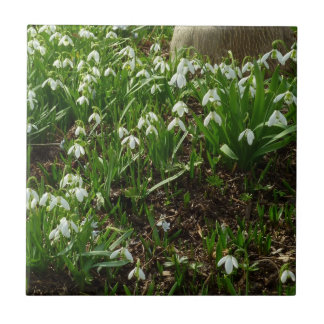 Azulejo Floral de primavera (Galanthus)