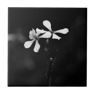 Azulejo floral en blanco y negro minimalista
