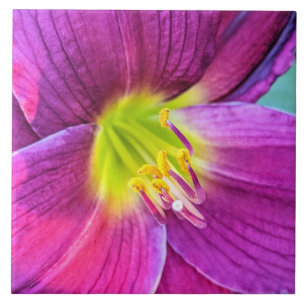 Azulejo Floral Pink Daylily Bloom