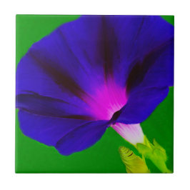 Azulejo Floral Rosa Púrpura Ardiente
