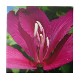 Azulejo Floral tropical