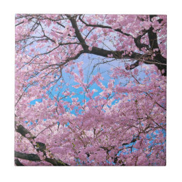 Azulejo Florecimiento de cerezos en flor