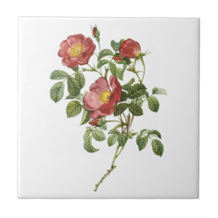 Azulejo Flores Antiguas Floral Rosa Roja del Amor por Redo