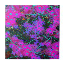 Flores bastante calientes rosa, magenta y azul aqu