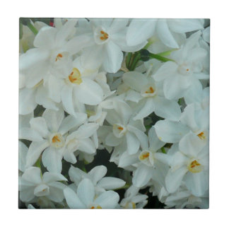 Azulejo Flores blancas de arcissus paperblancas