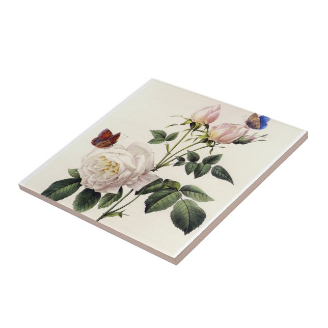 Azulejo flores blancas de rosa, Pierre Joseph Redouté (Lado)