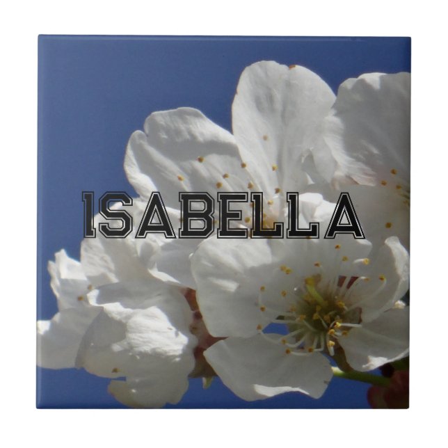 Azulejo Flores blancas ricas (Frente)