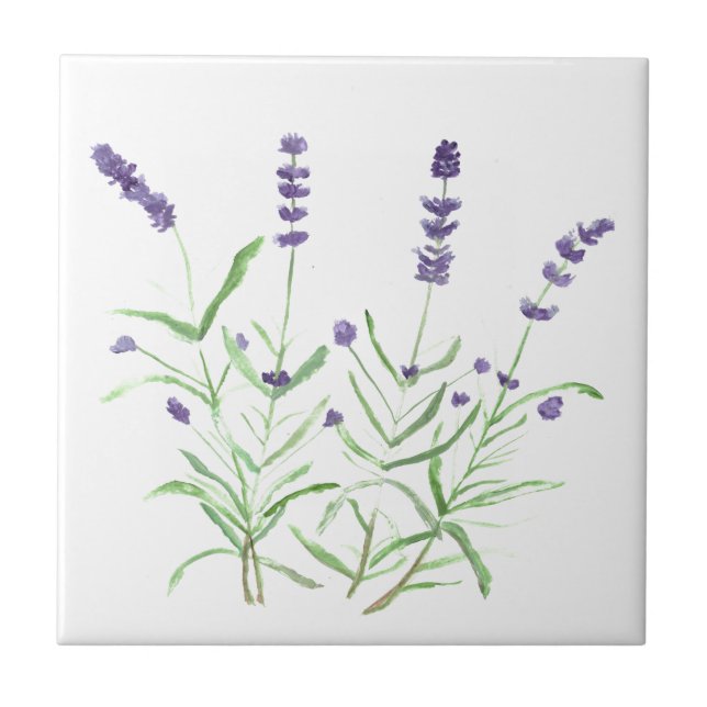 Azulejo Flores botánicas de hierba de lavanda acuarela púr (Frente)