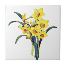 Azulejo Flores Botánicas Vintage Elegantes Daffodils Amari