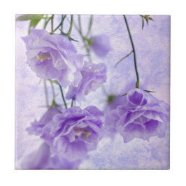 Azulejo Flores Campanella Moradas Macro
