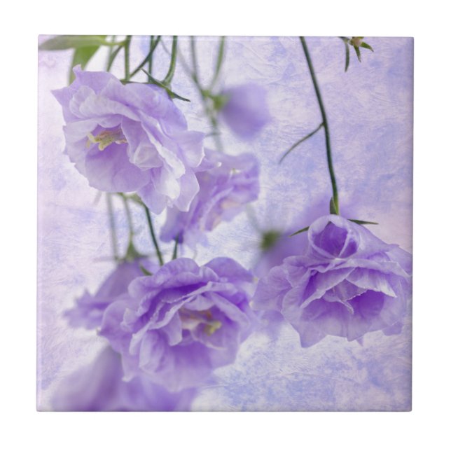 Azulejo Flores Campanella Moradas Macro (Frente)