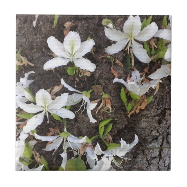 Azulejo Flores de árbol (Frente)
