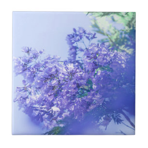 Azulejo Flores de árbol de jacarandá púrpura pastel