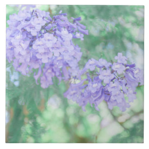 Azulejo Flores de árbol pastel morado Jacaranda