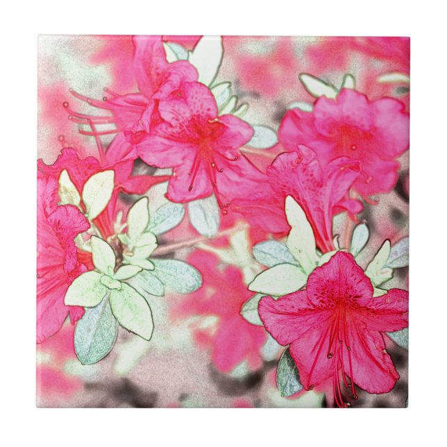 Azulejo flores de azalea rosa bonito. Planta de huerto flo (Frente)