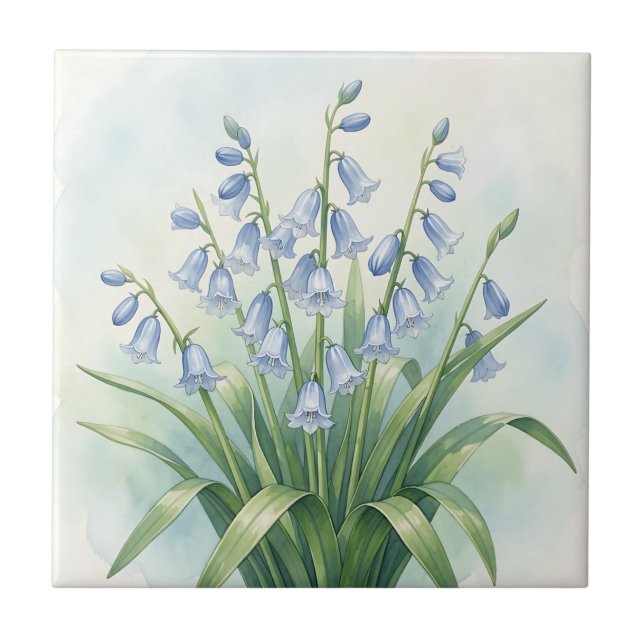 Azulejo Flores de Campanilla Azul Acuarela Botánica (Frente)