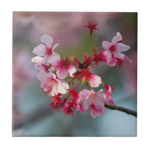 Azulejo Flores de cerezo