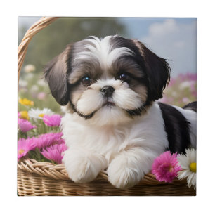 Azulejo Flores de cesta de cachorros Shih Tzu