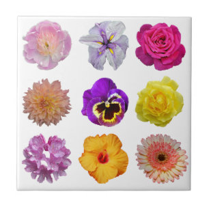 Azulejo Flores de colores