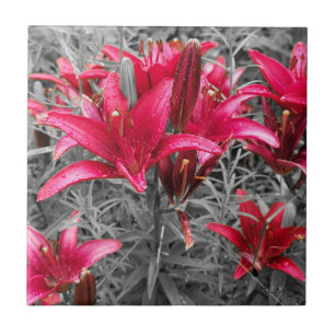 Azulejo Flores de Daylilies rosas