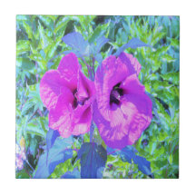 Flores de Hibisco Morado Loco Ultra-Violeta