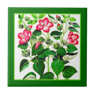 Azulejo Flores de Hibiscus Pink Italiano