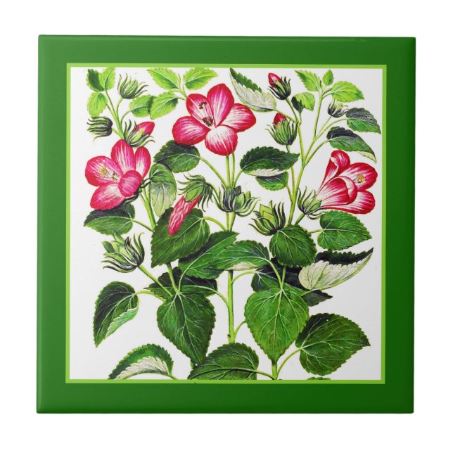 Azulejo Flores de Hibiscus Pink Italiano (Frente)