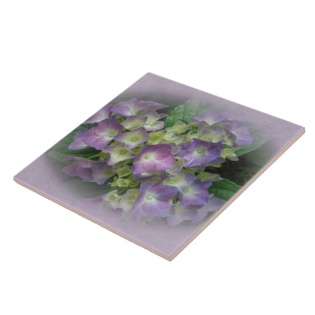 Azulejo Flores de hidrangea azul púrpura (Lado)