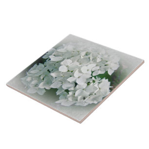 Azulejo Flores de hidrangea blanca