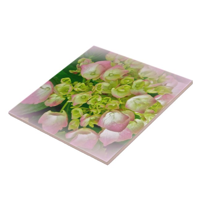 Azulejo Flores de hidrangea rosa y verde (Lado)