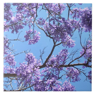 Azulejo Flores de Jacaranda