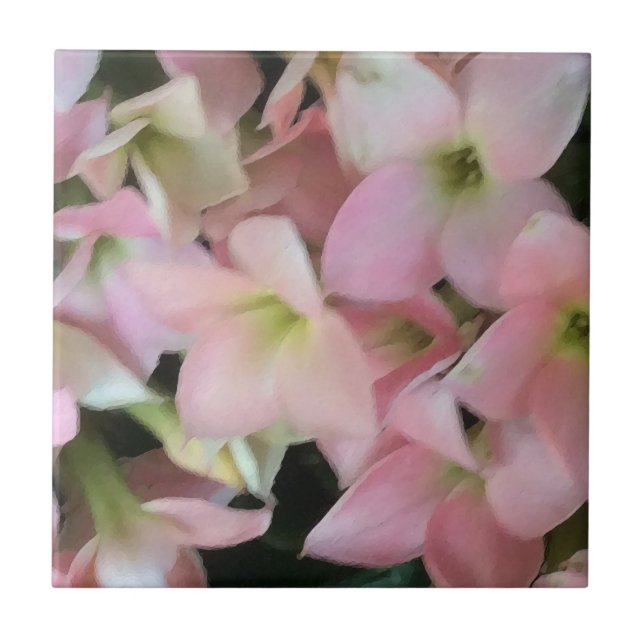 Azulejo Flores de Kalanchoe (Frente)