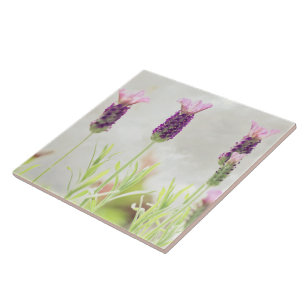 Azulejo Flores de lavanda