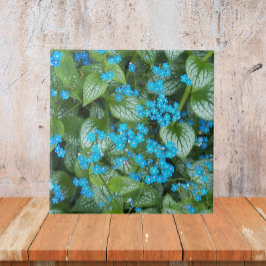Azulejo Flores de Little Blue Brunnera Floral