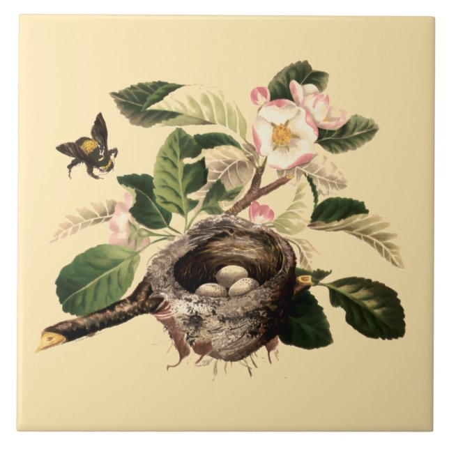 Azulejo Flores de manzana y nido de aves (Frente)