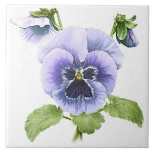 Azulejo Flores de Pensamientos Púrpuras Arte Botánico