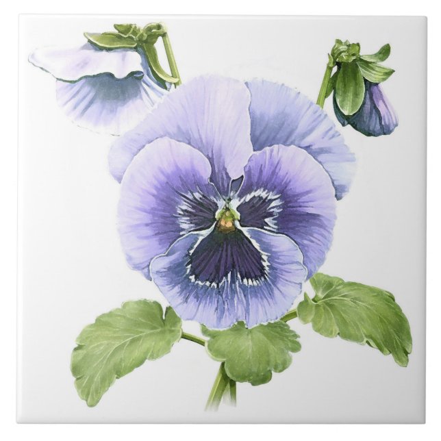 Azulejo Flores de Pensamientos Púrpuras Arte Botánico (Frente)