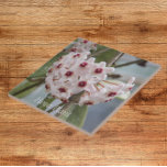 Azulejo Flores de plantas Hoya Floral<br><div class="desc">Baldosas de cerámica que muestran la imagen fotográfica de la bonito,  flores pequeñas de la planta de Hoya,  comúnmente llamada planta de cera. ¡Un bonito diseño floral! Seleccione su tamaño de mosaico. ¡Hace un gran trivet de cocina!</div>