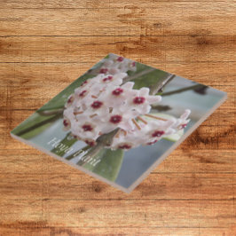 Azulejo Flores de plantas Hoya Floral