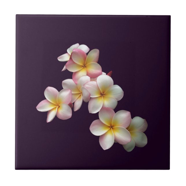Azulejo Flores de plumeria en morado oscuro (Frente)