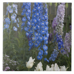 Azulejo Flores de primavera a lo largo de un camino de jar