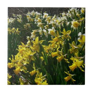 Azulejo Flores de primavera de los Daffodils amarillos y b