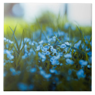Azulejo Flores de primavera en el campo