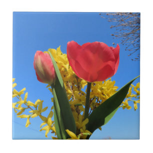 Azulejo flores de primavera, tulipanes, coloridas + flores