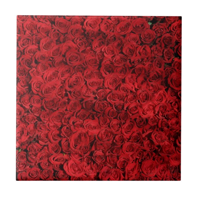 Azulejo Flores de rosa rojo (Frente)