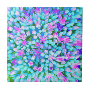 Azulejo Flores de Sedum Suculentas Azul y Rosa Caliente De