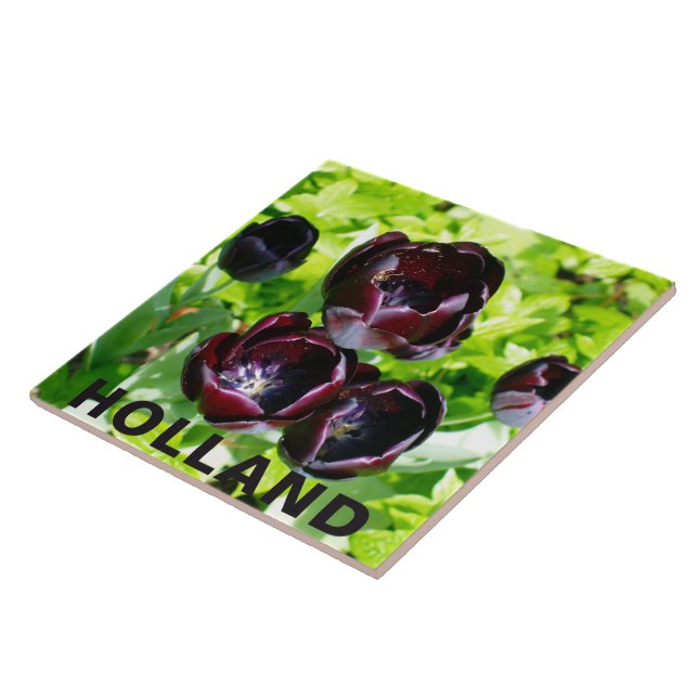 Azulejo Flores de tulipanes verdes púrpura y negras, Holan (Lado)