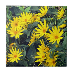 Azulejo Flores de Tupinambo
