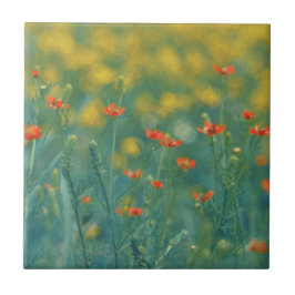 Azulejo Flores de verano (Campo floral) (Flores rojas)